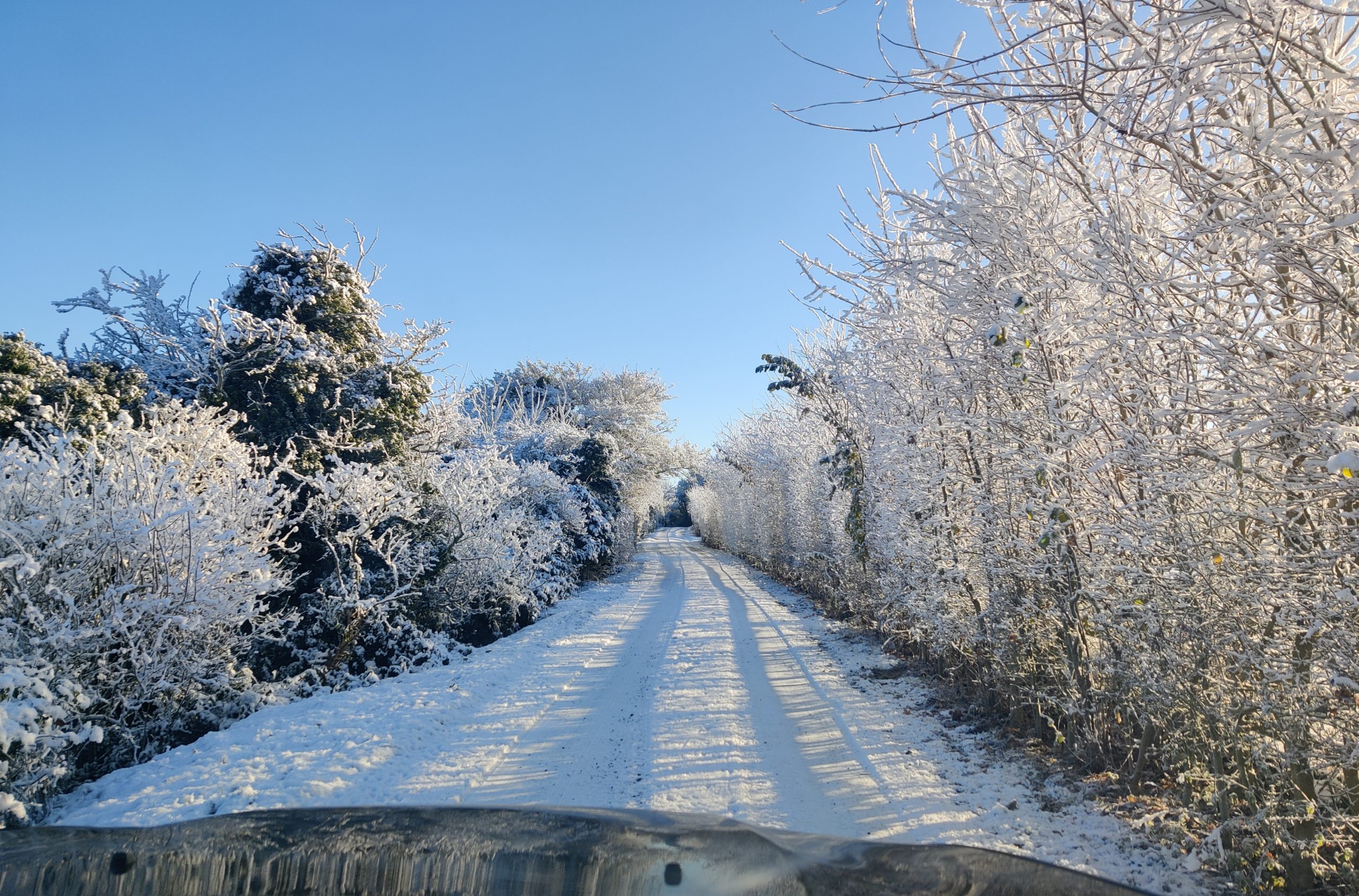 Driving Home for Christmas